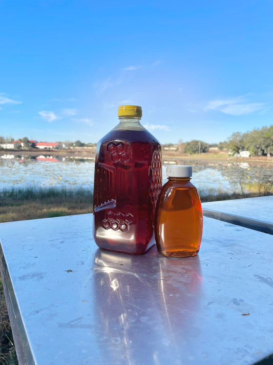 Wildflower Honey - 2 pounds Spring/Summer Flow